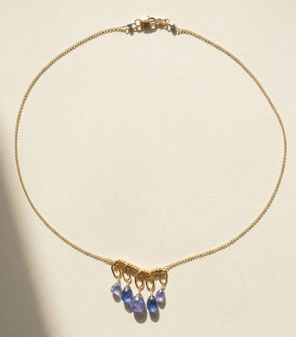 Gold chain necklace with clustered purple teardrop briolette gemstones at the end