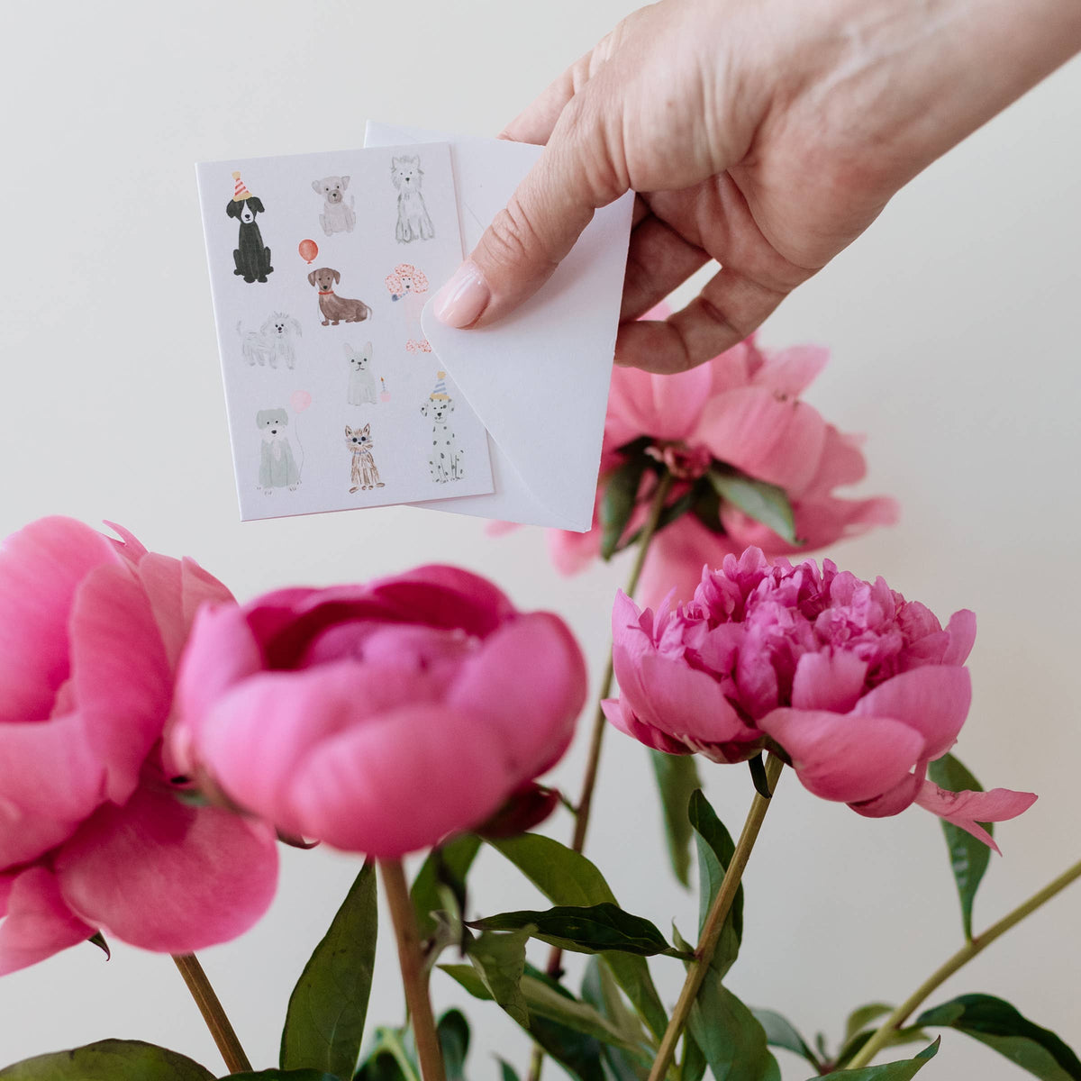 Birthday mini greeting card with illustrated dogs and confetti, held in hand
