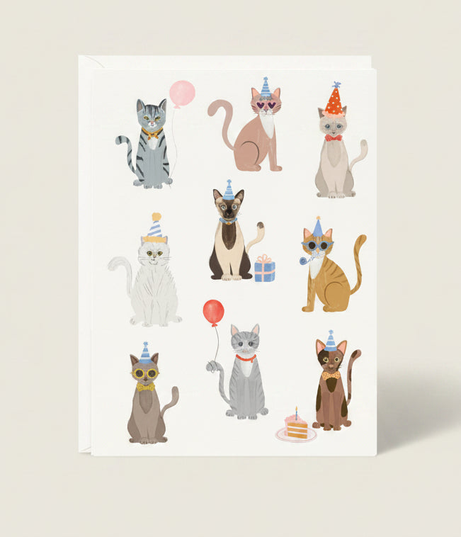 Illustrations of cats in various poses with accessories on a white background