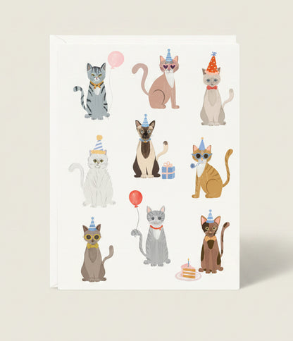 Illustrations of cats in various poses with accessories on a white background